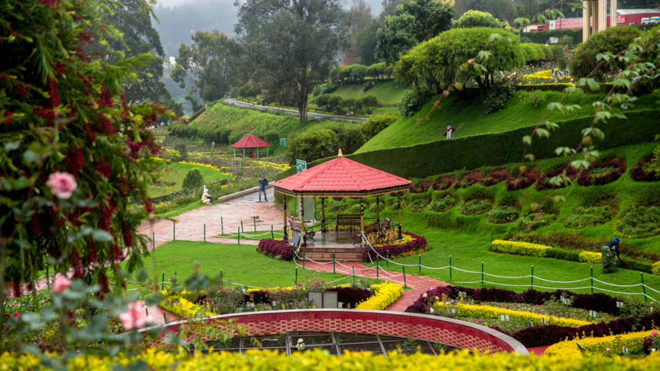 Ooty