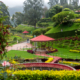 Ooty