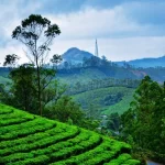 Travel tips for kerala