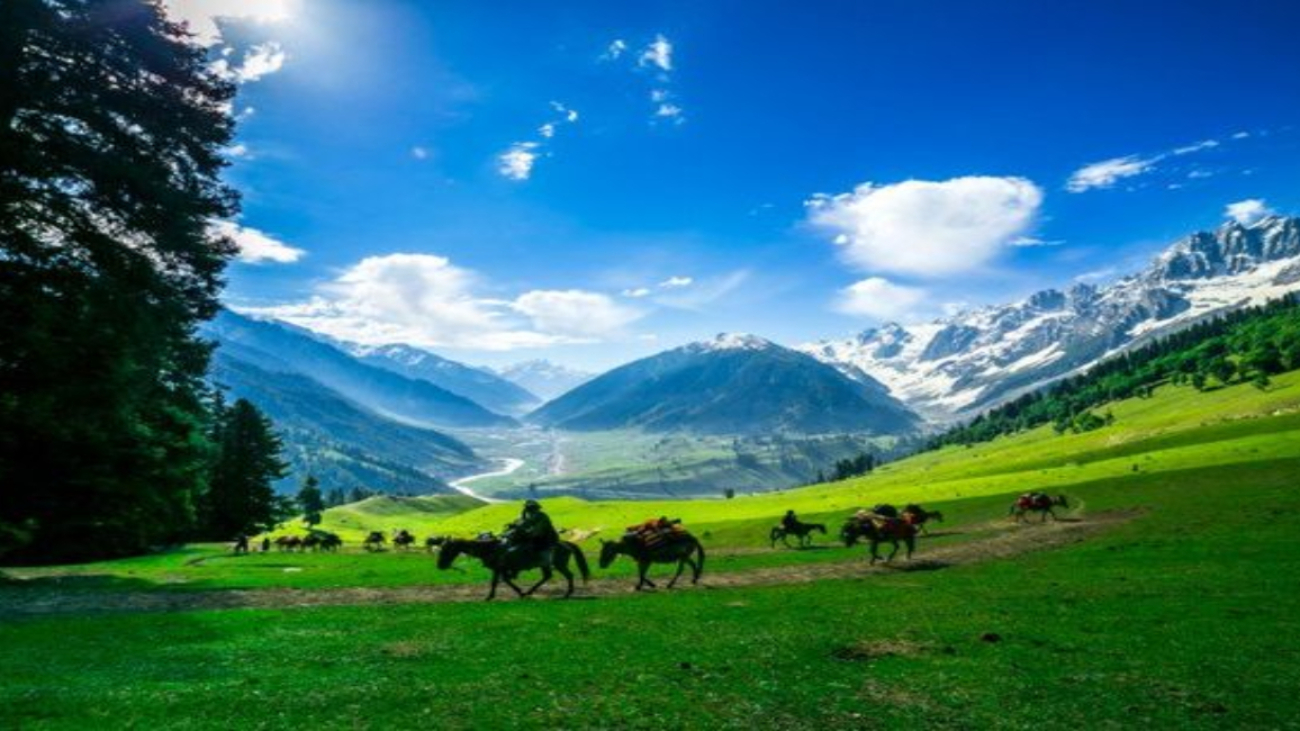 Best places in Sonmarg