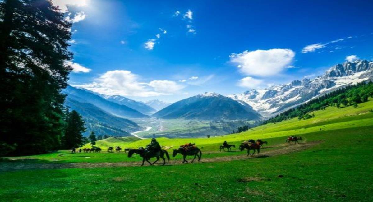 Best places in Sonmarg