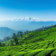 top 10 tourist places in Darjeeling