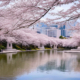 Hiroshima Peace Memorial Park